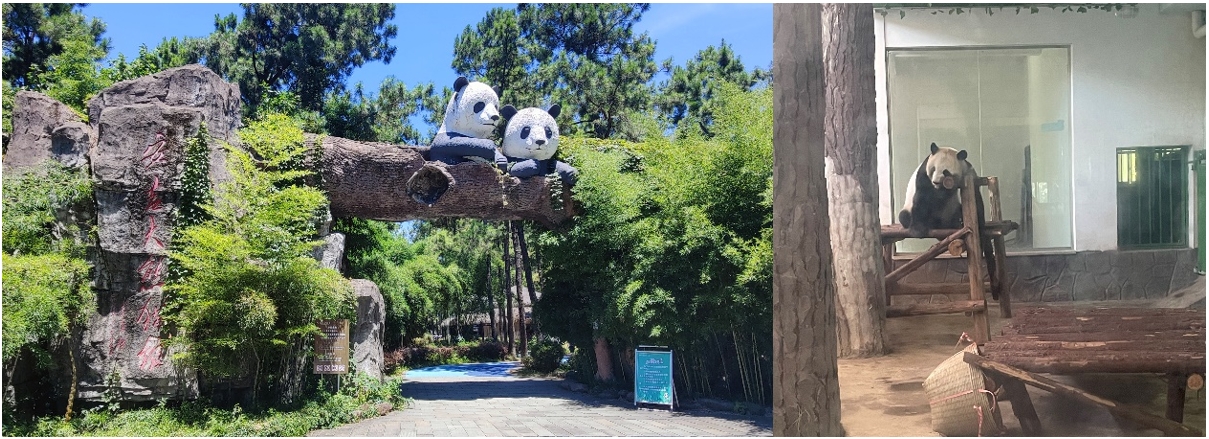 1720665645970409.jpg 3.jpg