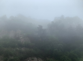 1751590930932197.png wps10.png