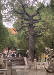 1751591009313357.png wps23.png